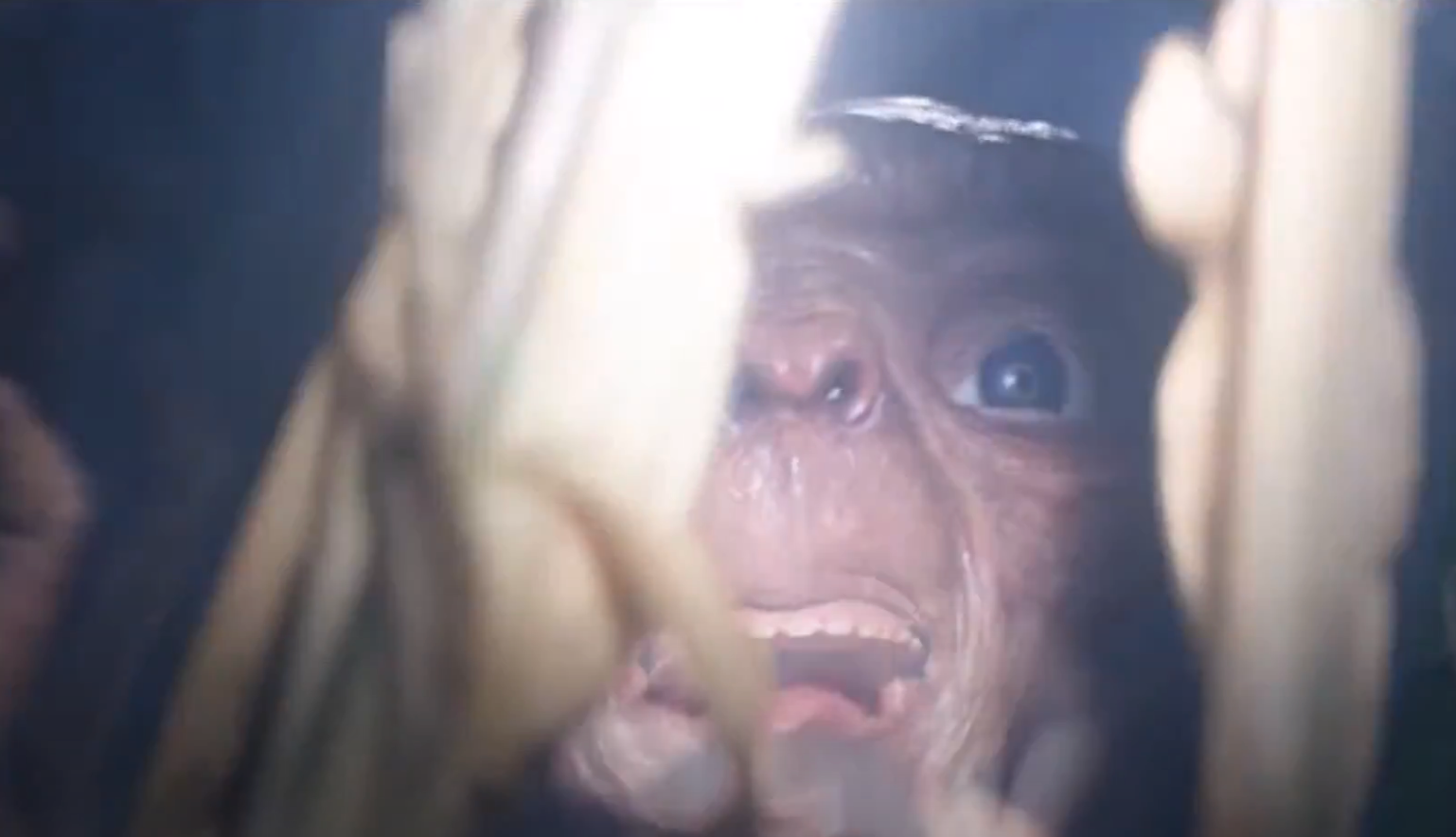 Creature peering between gaps with wide eyes and mouth open, conveying curiosity or surprise