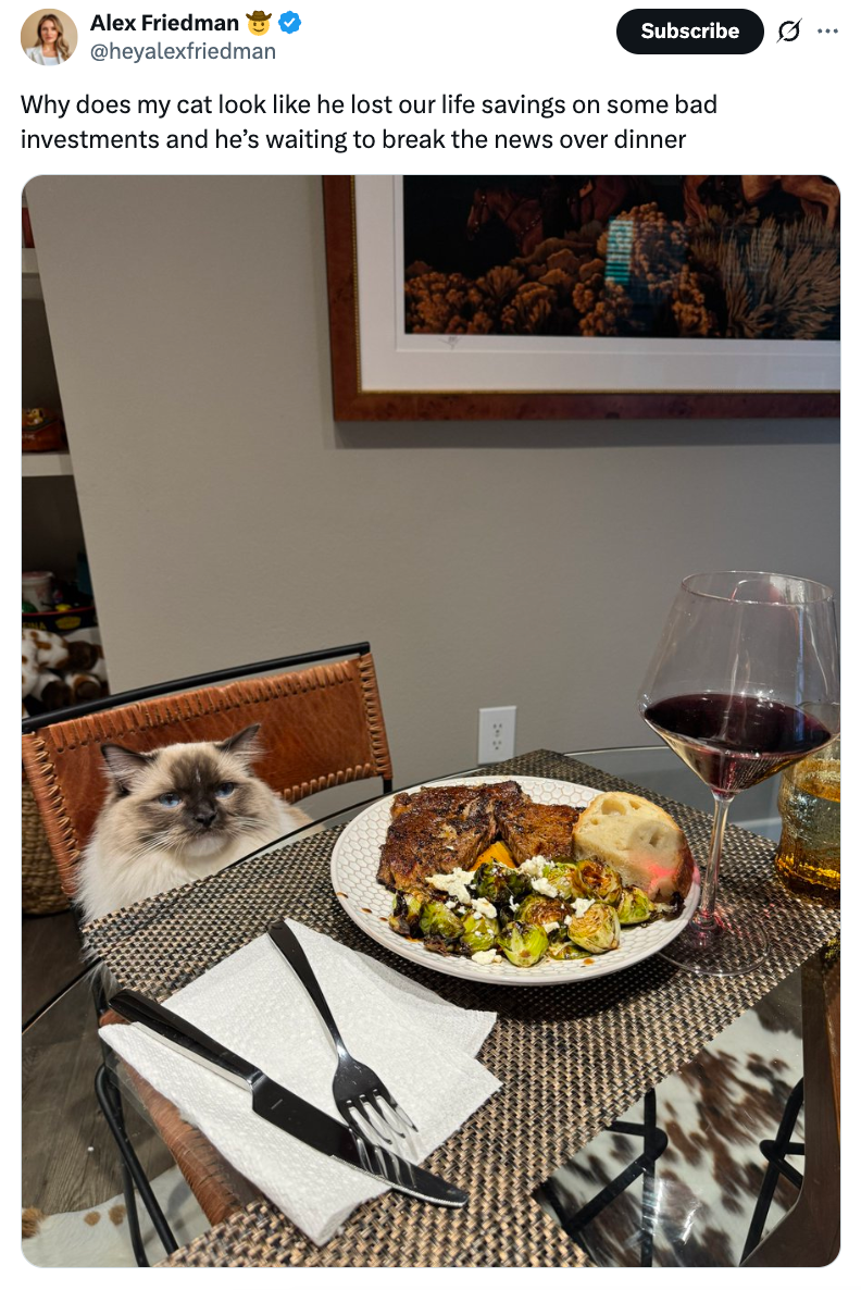 A fluffy cat sits at a dining table with a serious expression, next to a plate of food and a glass of wine