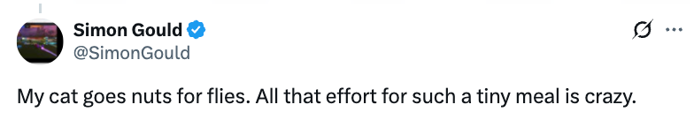 Tweet reads: "My cat goes nuts for flies. All that effort for such a tiny meal is crazy."