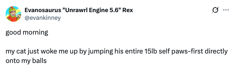 Tweet about a cat waking the writer by jumping onto them