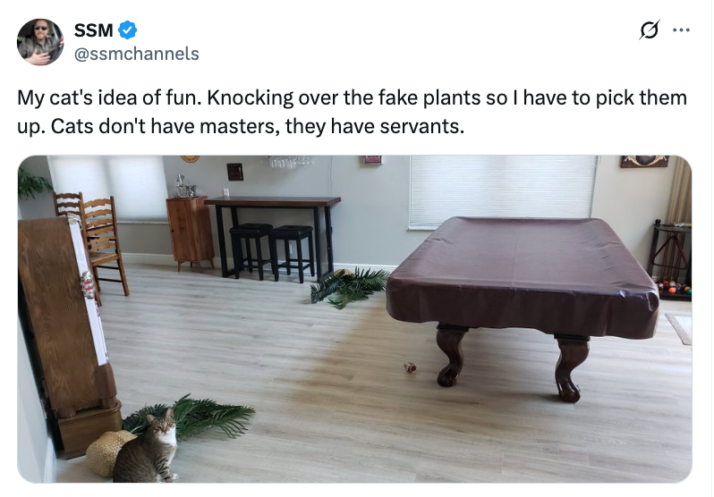 A cat sits on the floor next to overturned fake plants in a room, illustrating playful mischief
