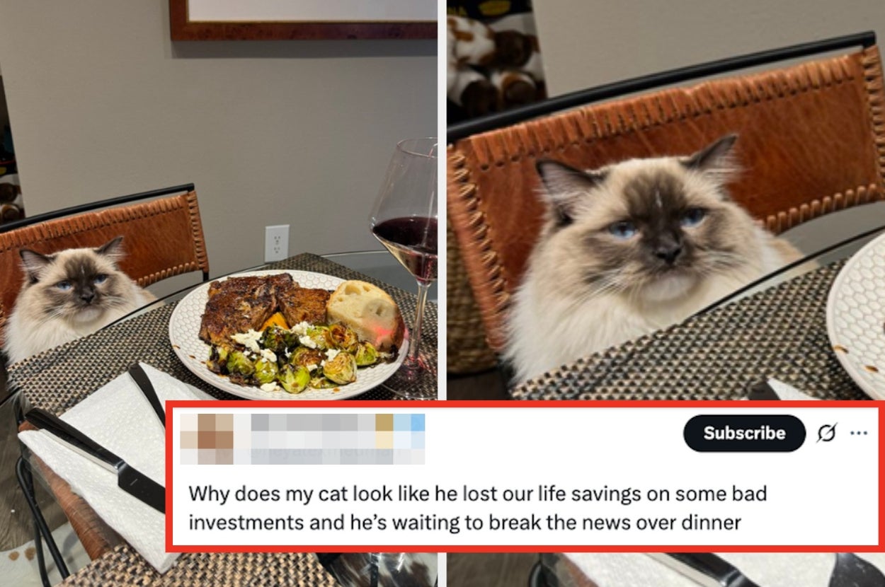 Here Are 20 Of The Funniest Pet Posts On The Internet From Last Week