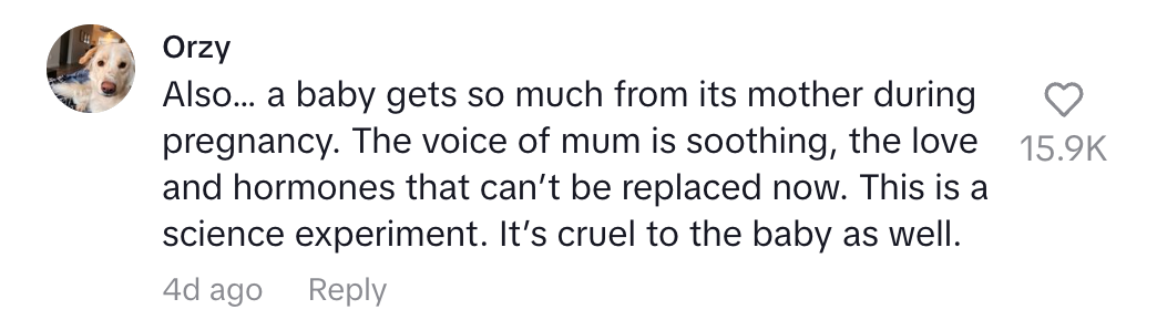A social media comment expressing concern about the impact of pregnancy changes on a baby, calling it a science experiment and cruel