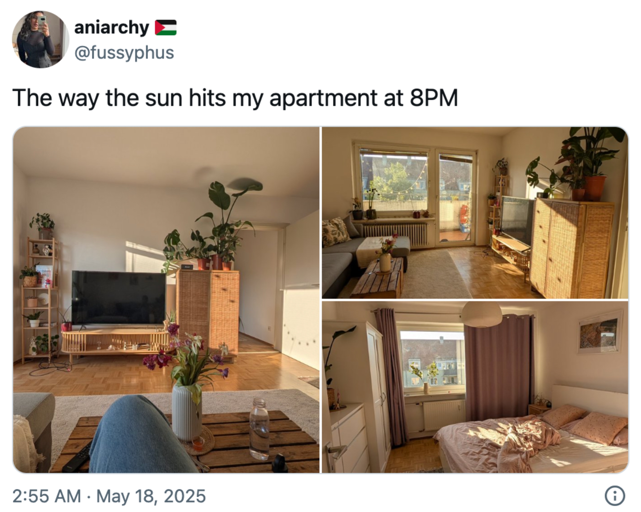 Collage of a sunlit apartment at 8 PM, showing a living room with a TV and plants, and a cozy bedroom with drawn curtains