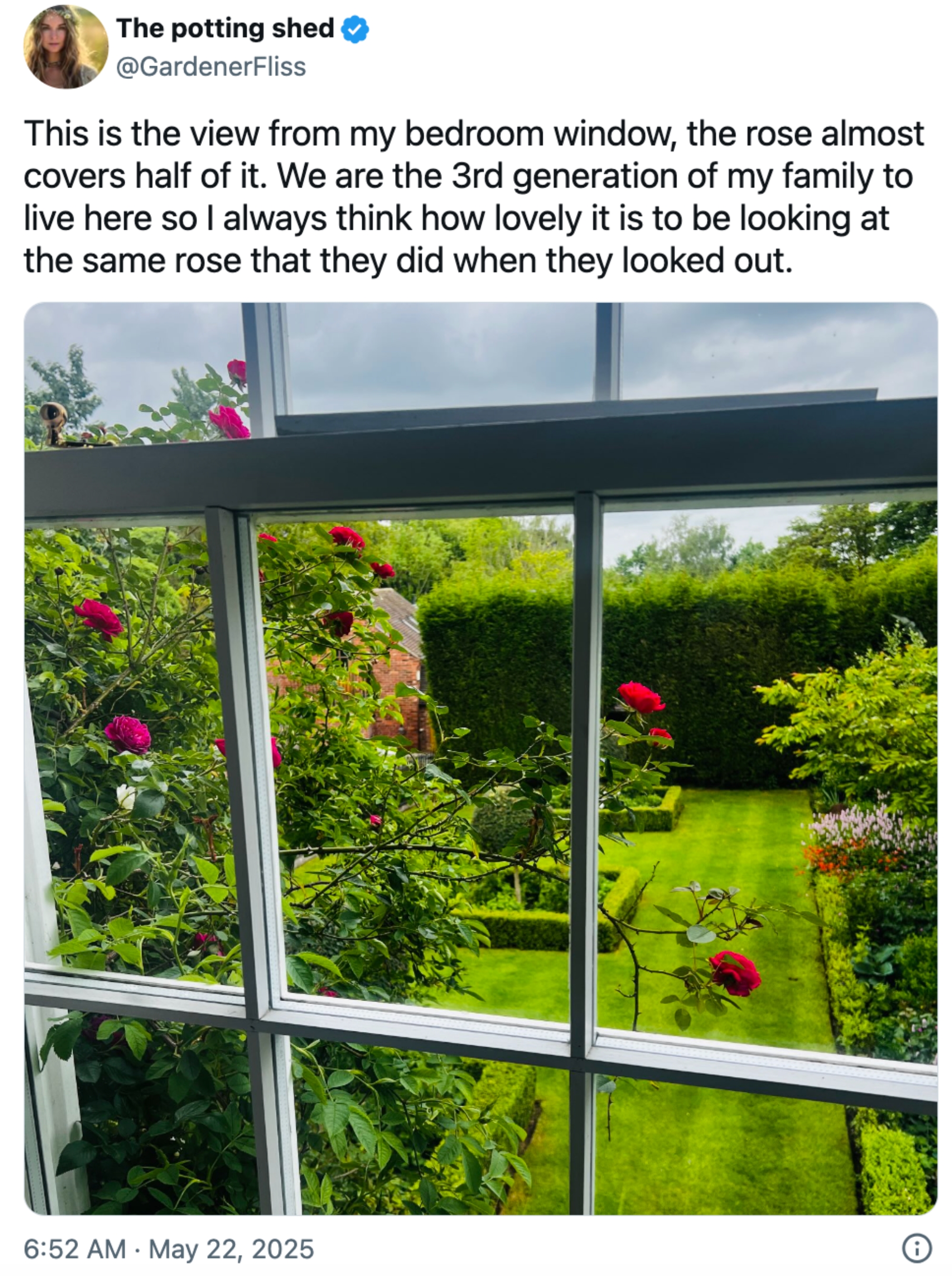 View from window showing a garden with a rose bush. Text reflects on family tradition and appreciation of the view
