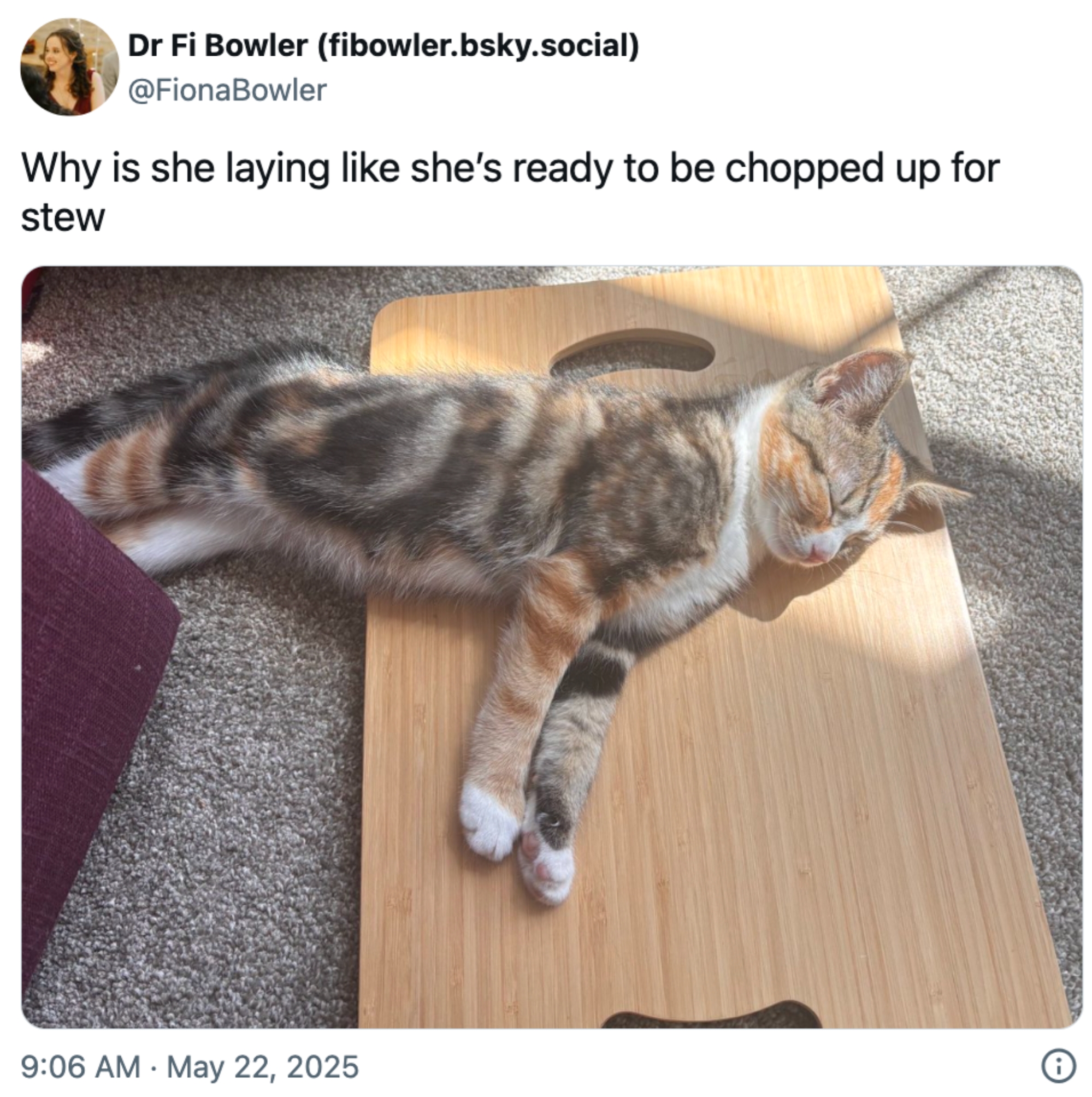 Cat lounging on a cutting board, caption jokes about being ready for stew