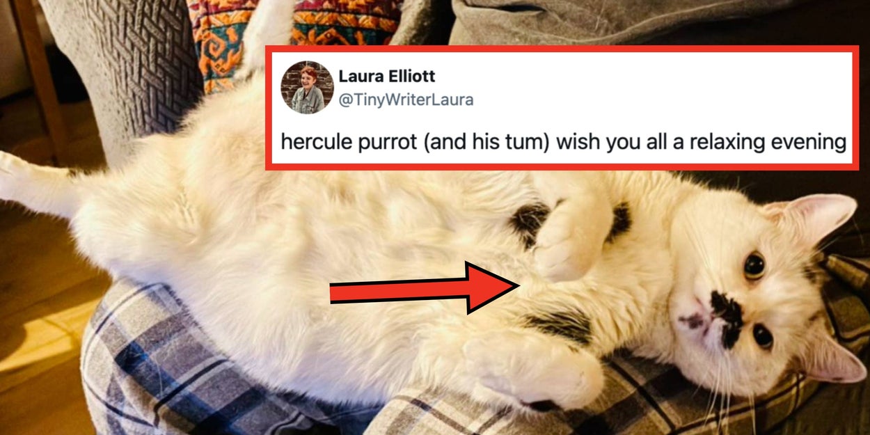 19 Funny, Wholesome, And Adorable Posts From This Week That Lowkey Restored My Faith In Humanity And Honestly Might Save Yours Too