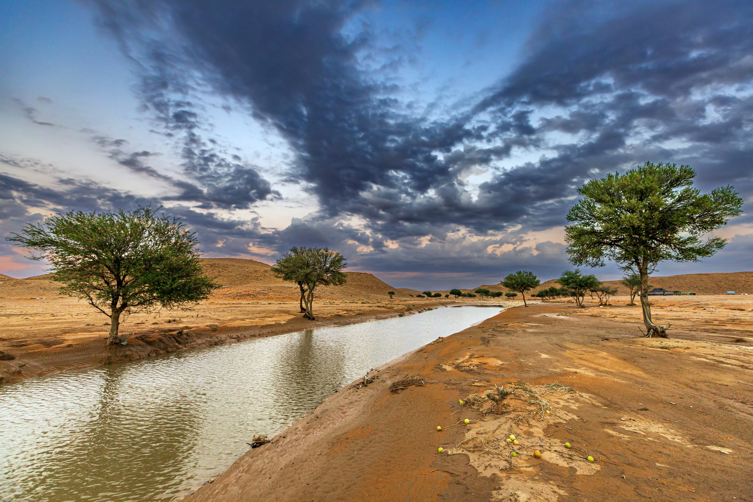 A serene desert landscape with a narrow river running through, flanked by scattered trees under a dramatic cloudy sky