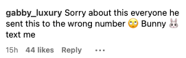 Comment apologizing for sending a message to the wrong number with a bunny emoji and a request to text back