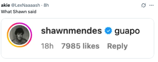 Instagram comment by &quot;shawnmendes&quot; saying &quot;guapo,&quot; with 7985 likes