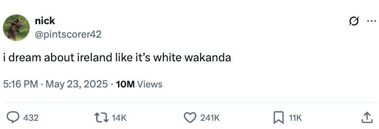 Tweet by user @pintscorer42: "i dream about ireland like it's white wakanda"