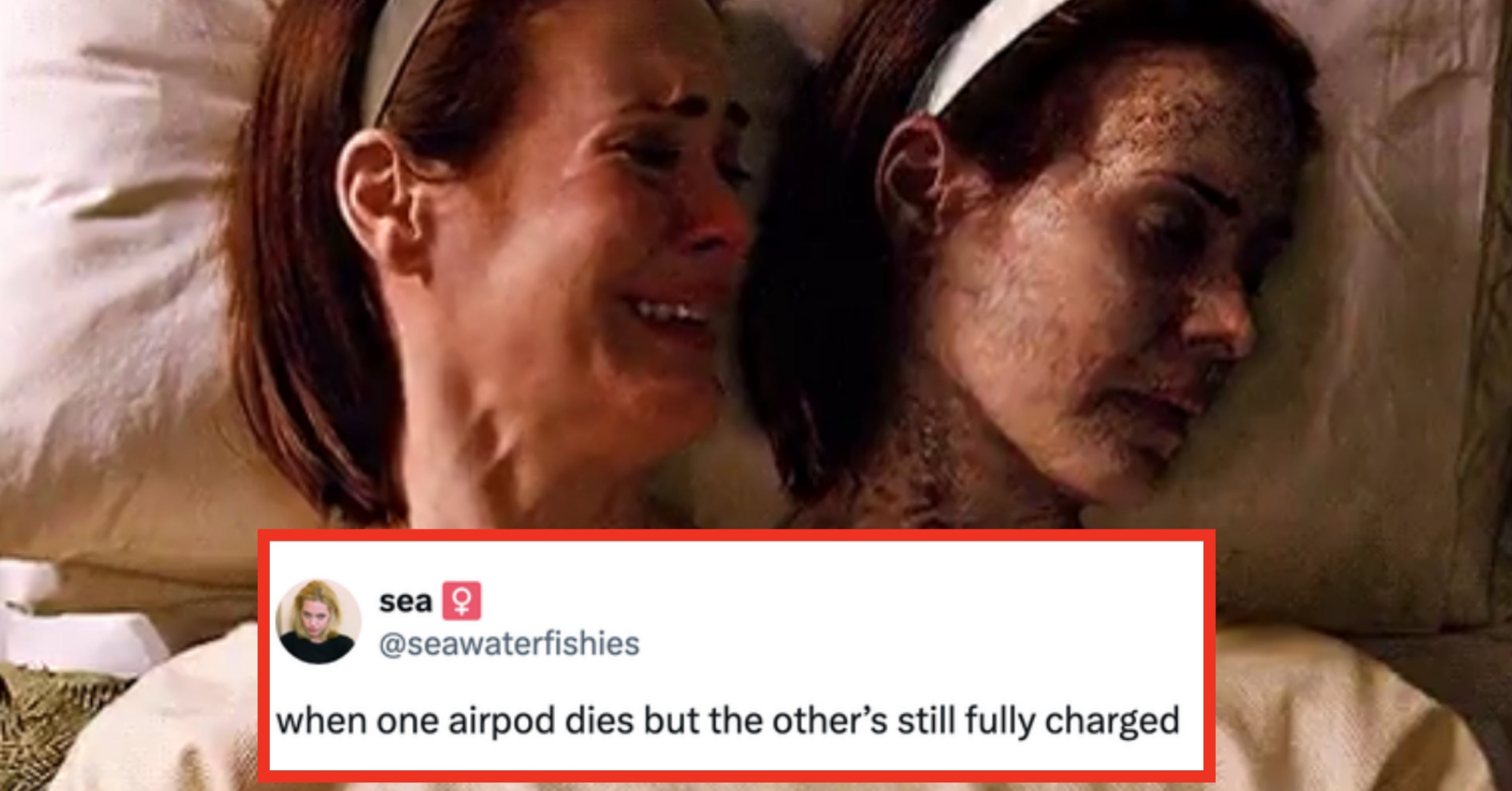 21 Hilarious Tweets From May That Made My Entire Month 1,000% Times Better