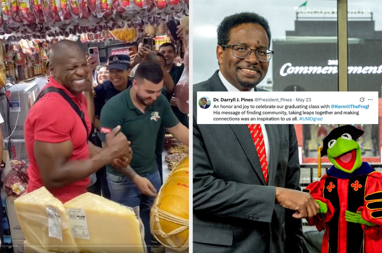 Left: A smiling man in a busy market touching large cheeses. Right: A man in a suit smiles, shaking hands with a puppet in an academic gown