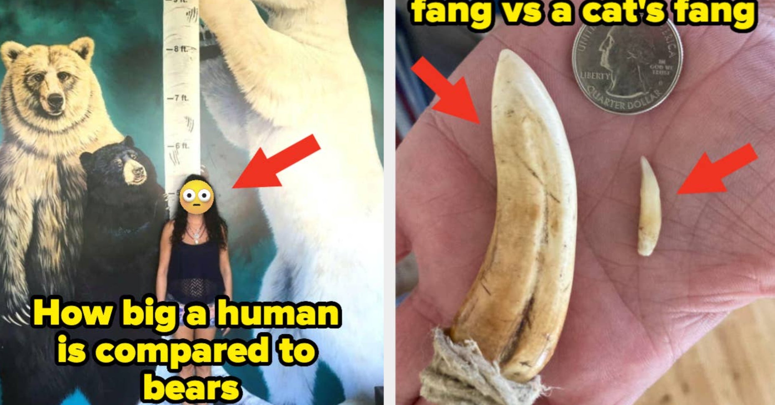 50 Extremely Rare Pictures That Show A Side Of The World That I'm Pretty Sure 99% Of People Have No Idea Existed