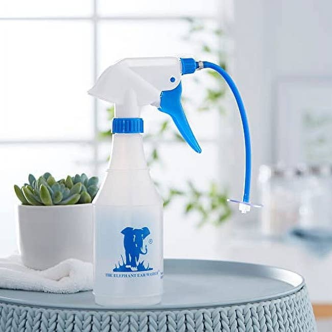 Spray vessel with a bluish elephant logo connected a tray adjacent a plant