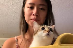女性が猫を黄色いグッズに入れて抱えている。「不安を和らげるために飼い始めた猫」とテキストがある。