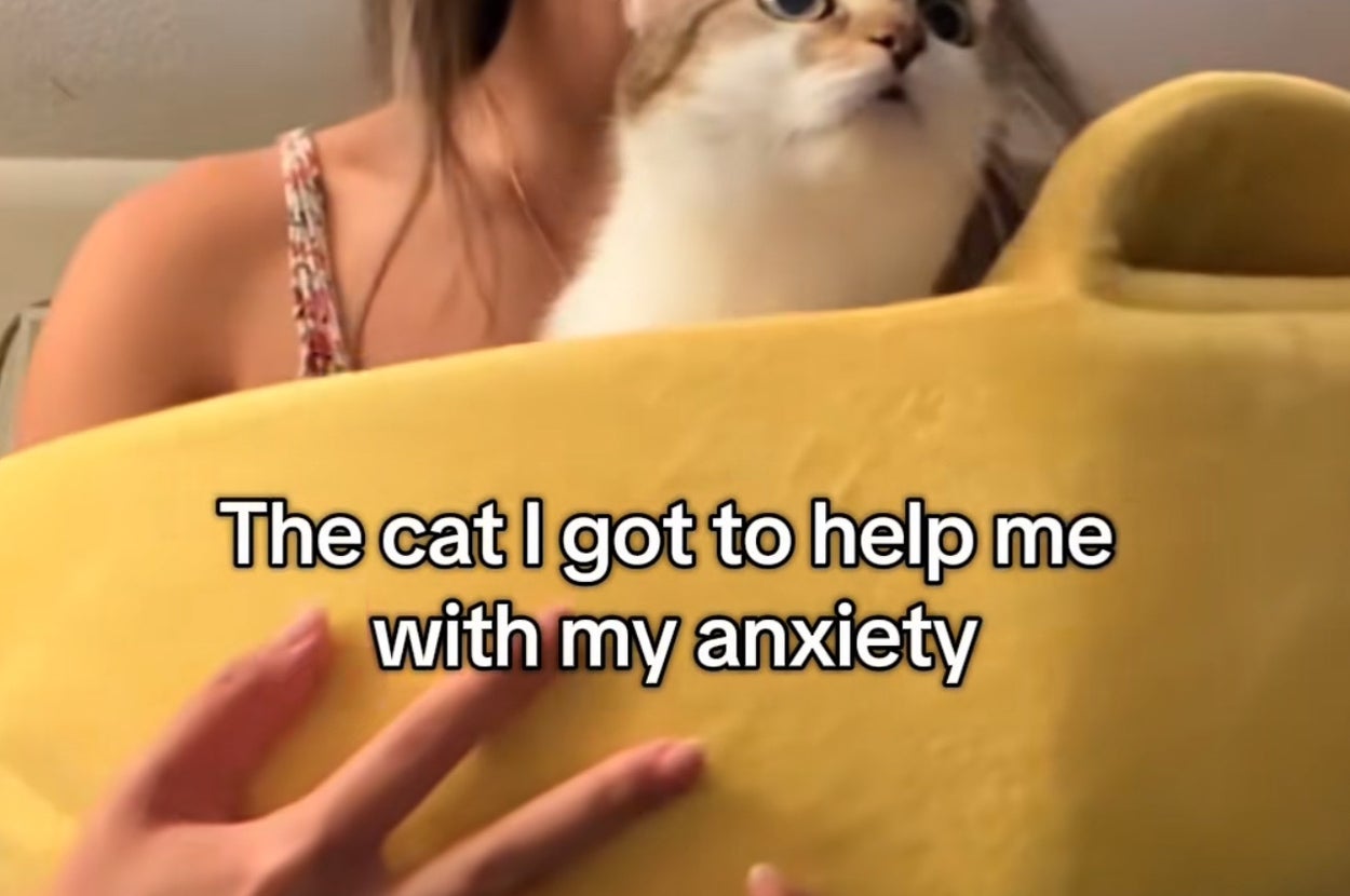 女性が猫を黄色いグッズに入れて抱えている。「不安を和らげるために飼い始めた猫」とテキストがある。