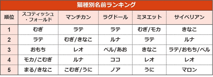 猫種別名前ランキング （アイペット損害保険調べ）