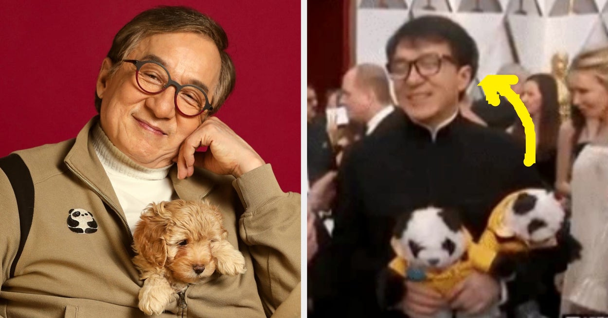 These Exclusive Photos Of Jackie Chan Playing With Puppies Will Blow Your Mind