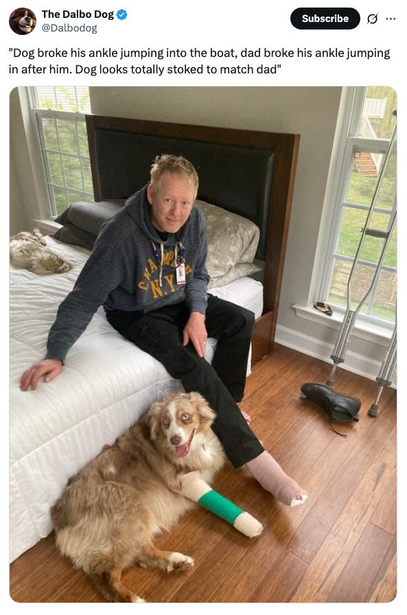 A man with an ankle brace sits on a bed beside a dog with a bandaged leg. Both appear content, matching in injury. Crutches rest nearby