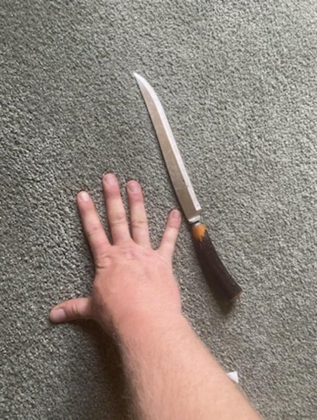 A hand and a decorative knife with a curved handle are placed on a carpeted floor