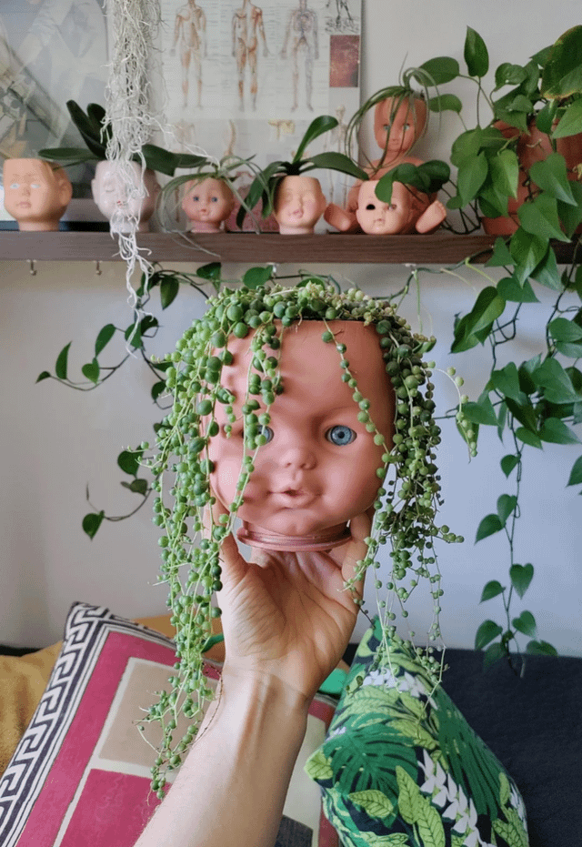 A hand holds a plant pot shaped like a baby doll's head with greenery resembling hair. Other doll head pots on a shelf have various plants