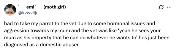 Tweet about taking a parrot to the vet for aggression issues, jokingly diagnosed as a "domestic abuser" toward the poster's mum