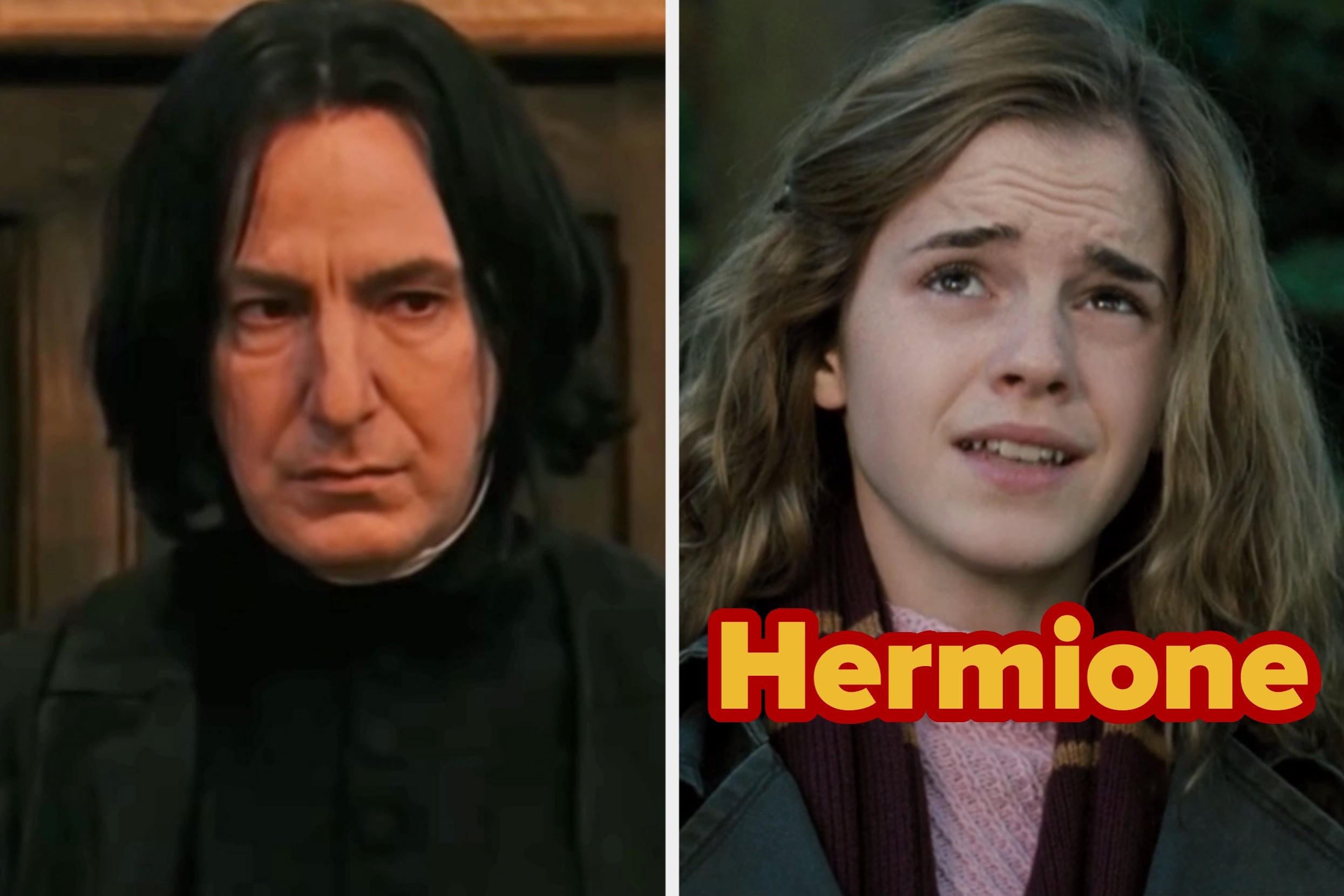 On the left, Snape from Harry Potter with a serious expression, and on the right, Hermione from Harry Potter looking up, thinking