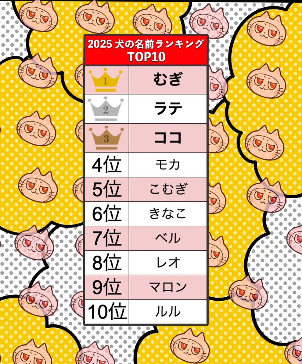 犬の名前ランキング2025】第1位は2020年度からの5連覇！ 柴犬の名前トップ5は？ （アイペット損保調べ）（画像）