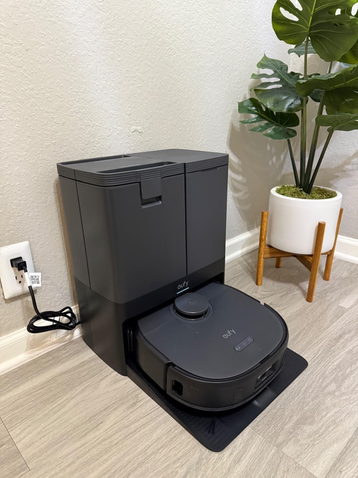 Robot vacuum with charging presumption    connected  hardwood level  beside potted plant