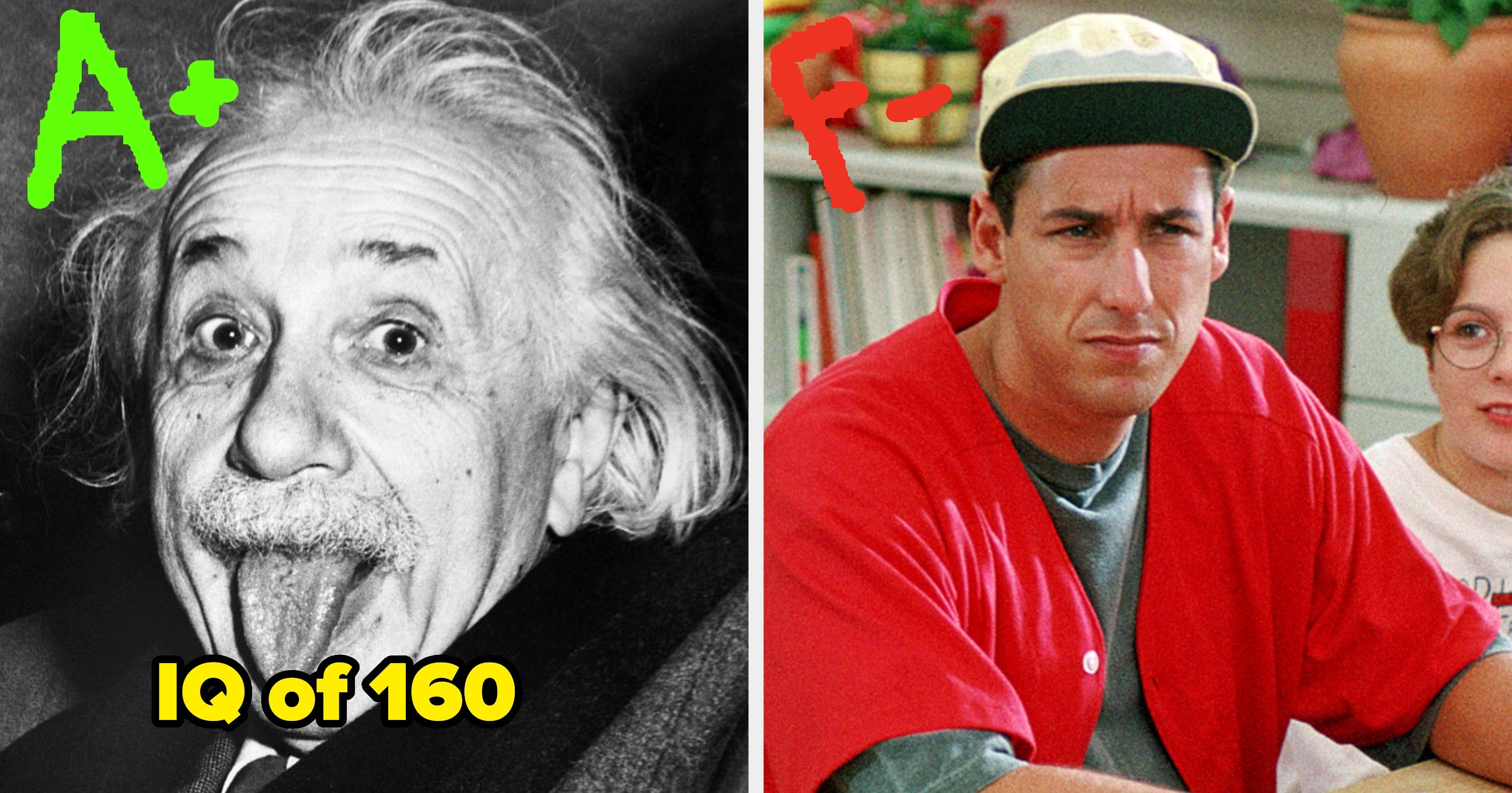 30 Vocabulary Terms That Only People With An IQ Between 125–145 Can Define