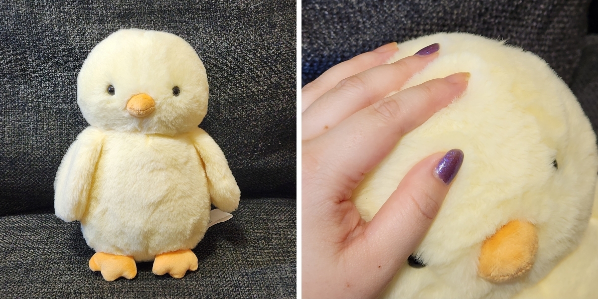 ニトリ】「毎日一緒に寝てる」「実物の方が50000倍かわいい」SNSで大