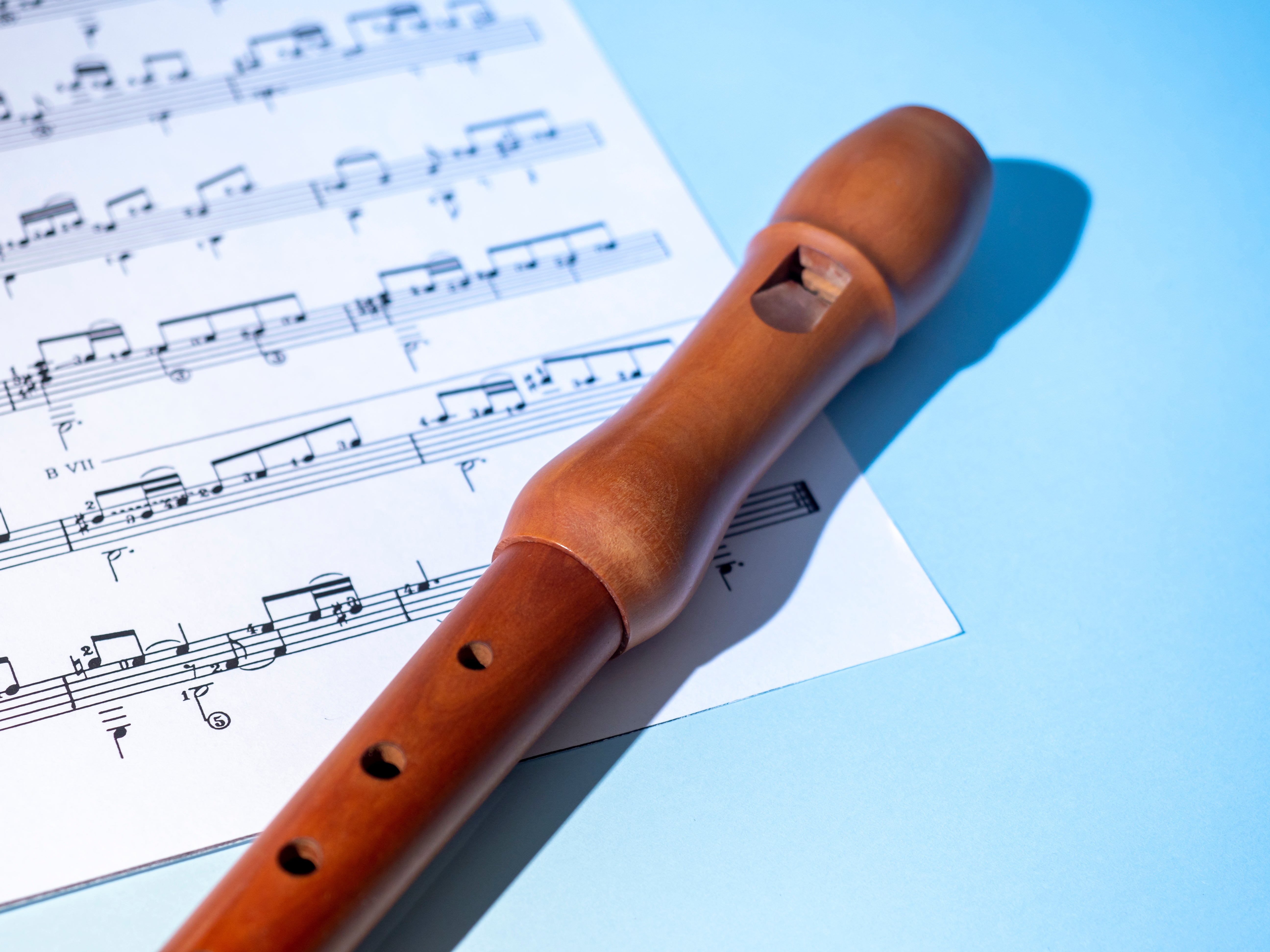 Recorder Lefty Shocking Revenge Stories That Will Make You Gasp
