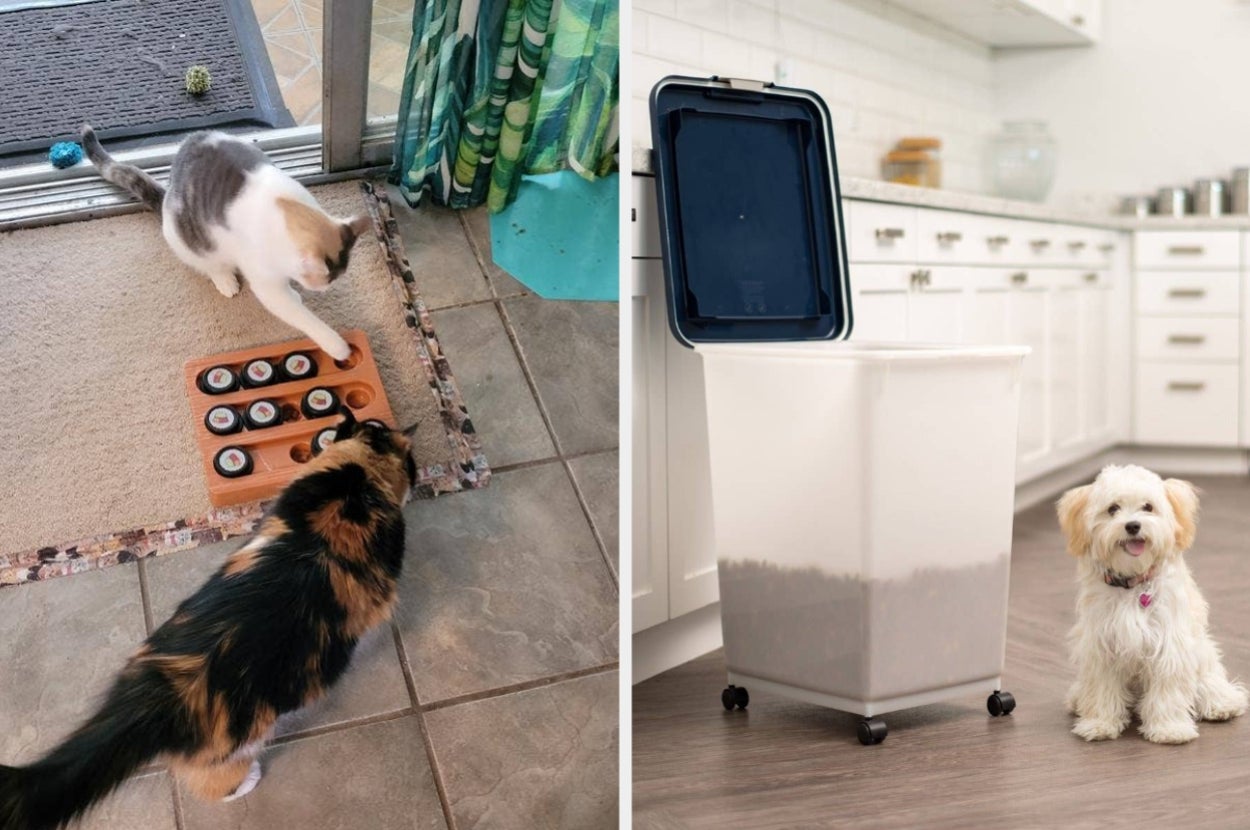 Two cats playing with a puzzle toy on the left; a small dog standing beside a tall container in a kitchen on the right