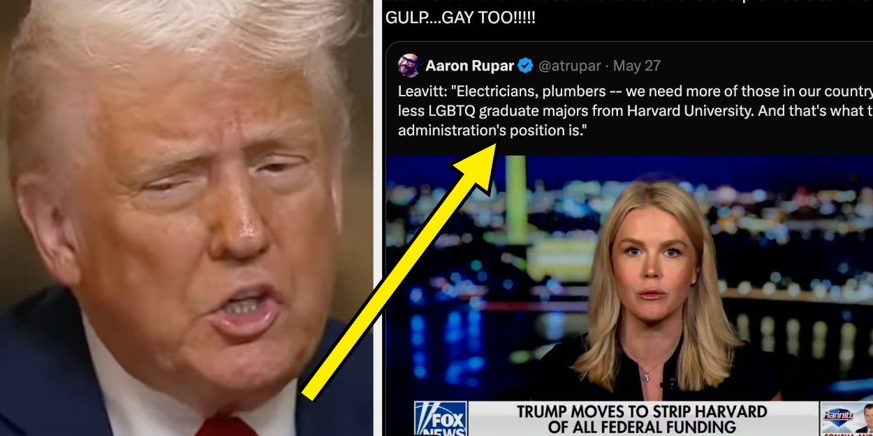 4 Million People Have Watched Karoline Leavitt's Bizarre Attack On Harvard's "LGBTQ Graduate Majors"