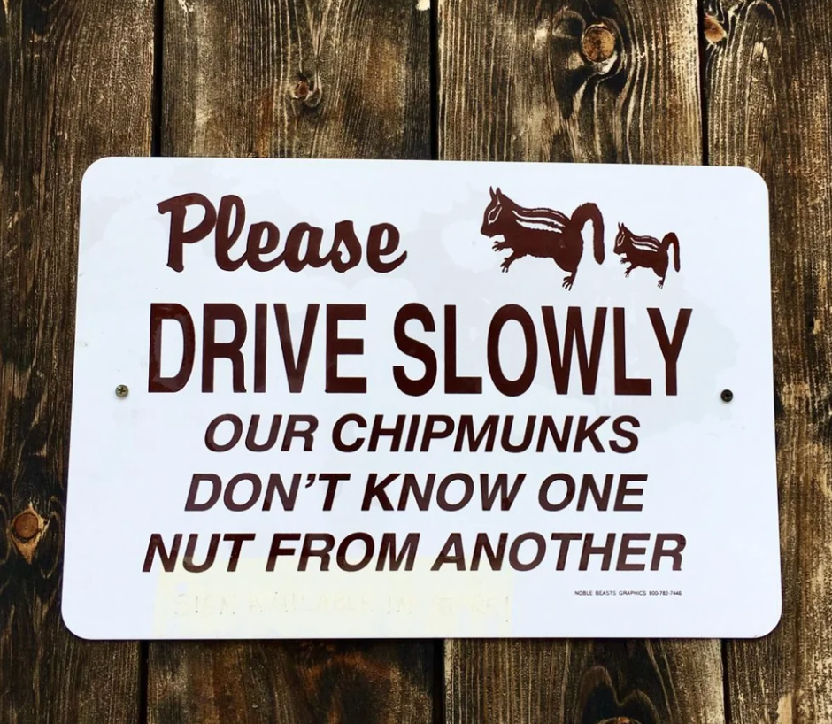 Sign urging drivers to dilatory  down   for chipmunks with humorous enactment      astir  their confusion