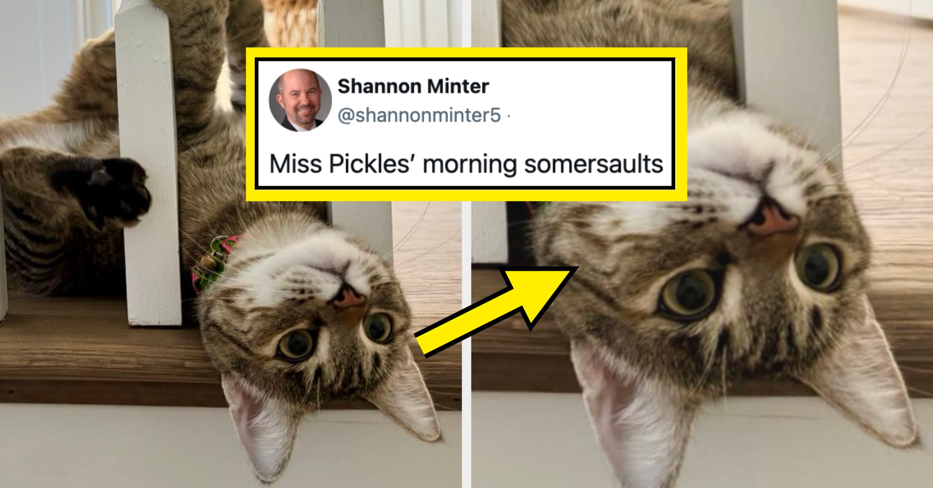 21 Funny, Wholesome, And Absolutely Adorable Posts From This Week