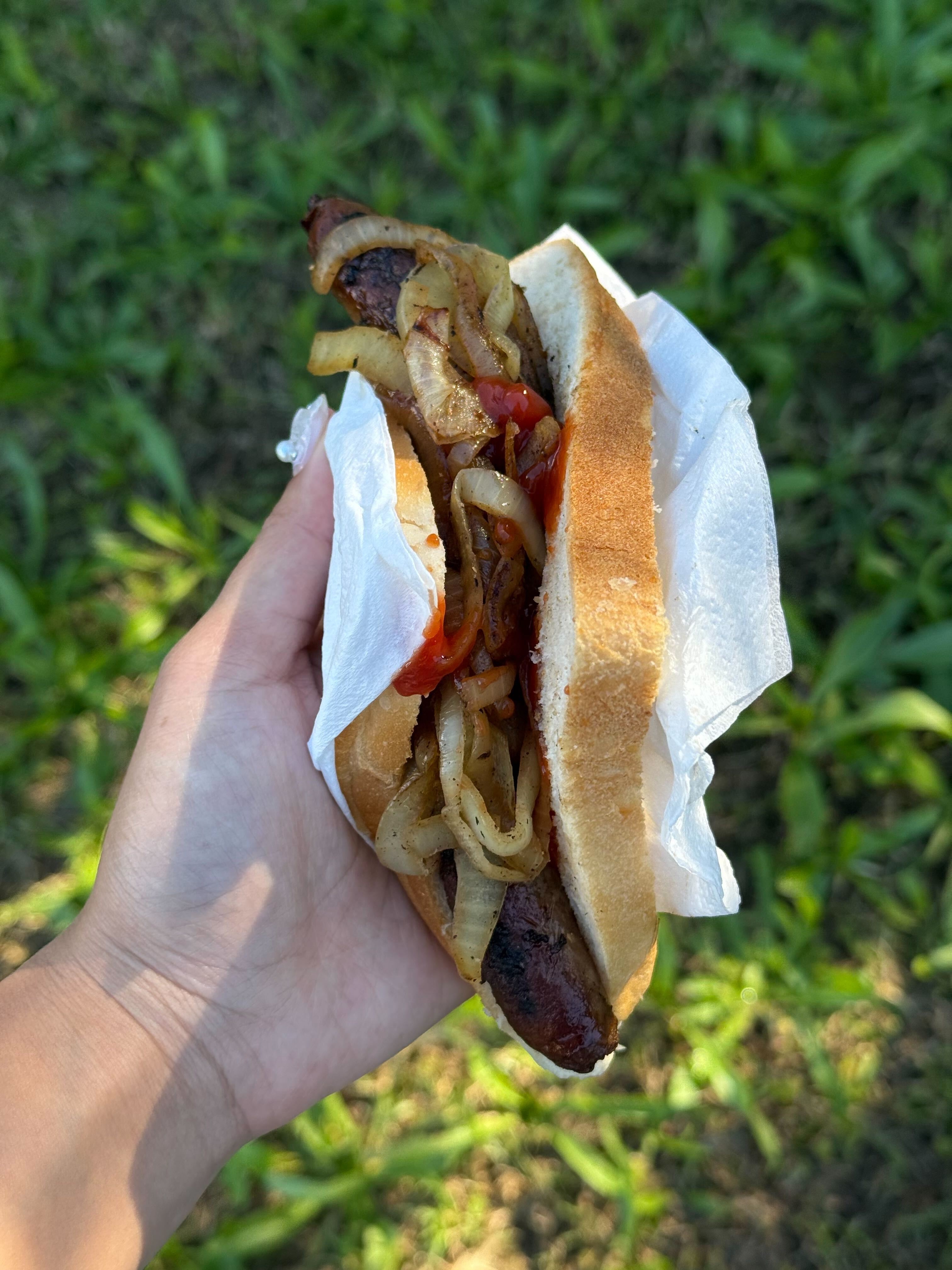 Person holding a hot dog with grilled onions and ketchup, outdoors with greenery in the background