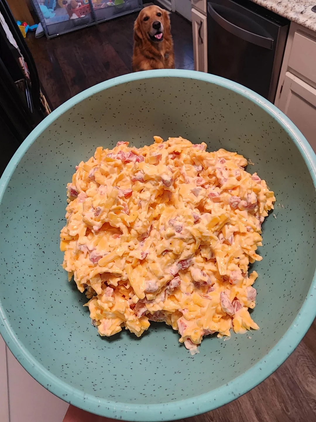 Bowl filled with a creamy cheese and diced pepper mixture, a golden retriever in the background looking up