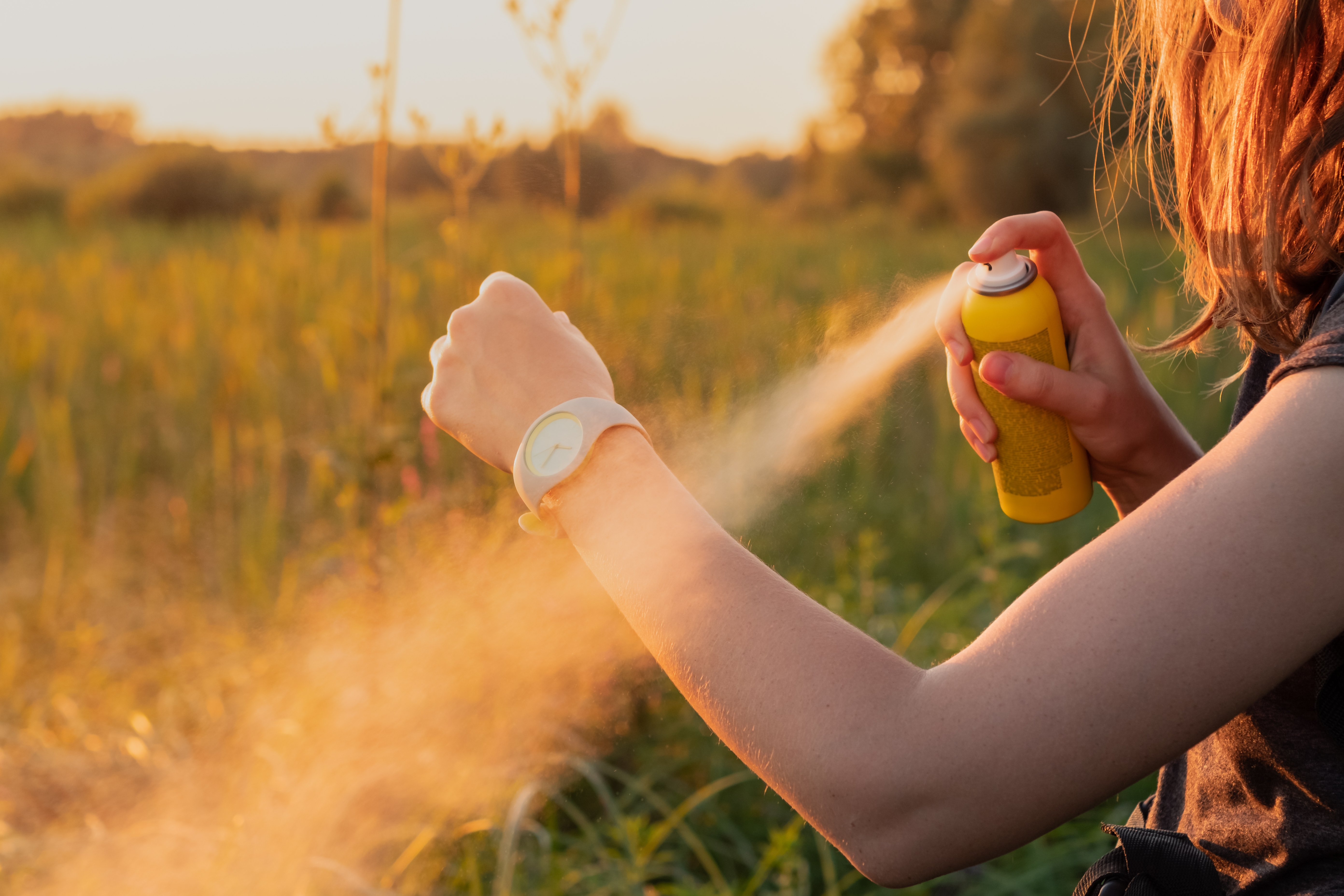 Person applying insect repellent spray to their arm in a field during sunset. Adjustable wristwatch visible