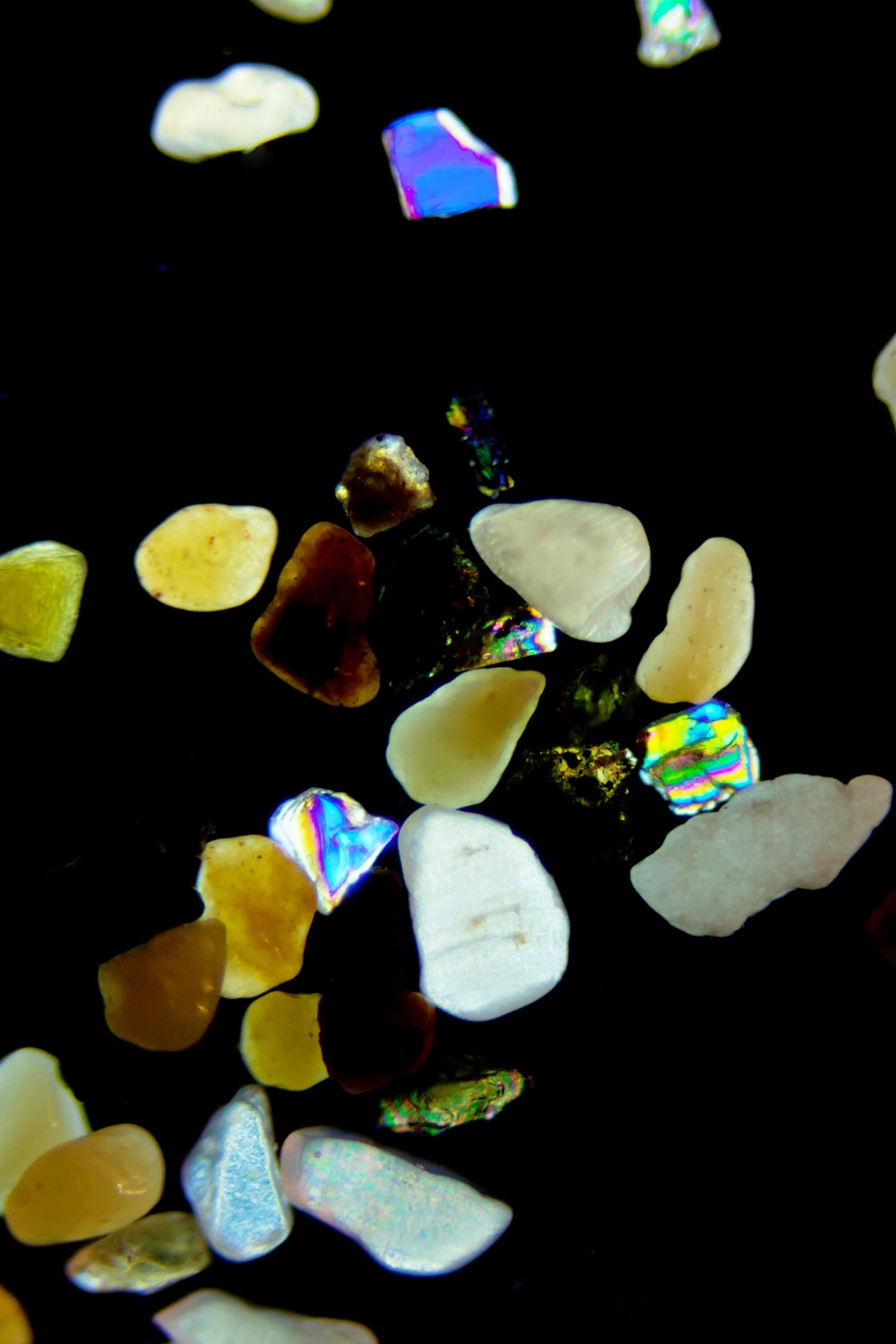 Close-up of small, variously shaped pebbles and iridescent shells scattered against a dark background
