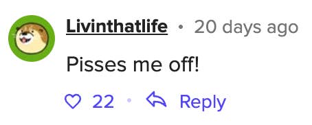 Comment from user &#x27;Livinthatlife&#x27; saying, &quot;Pisses me off!&quot; with 22 likes and a reply option