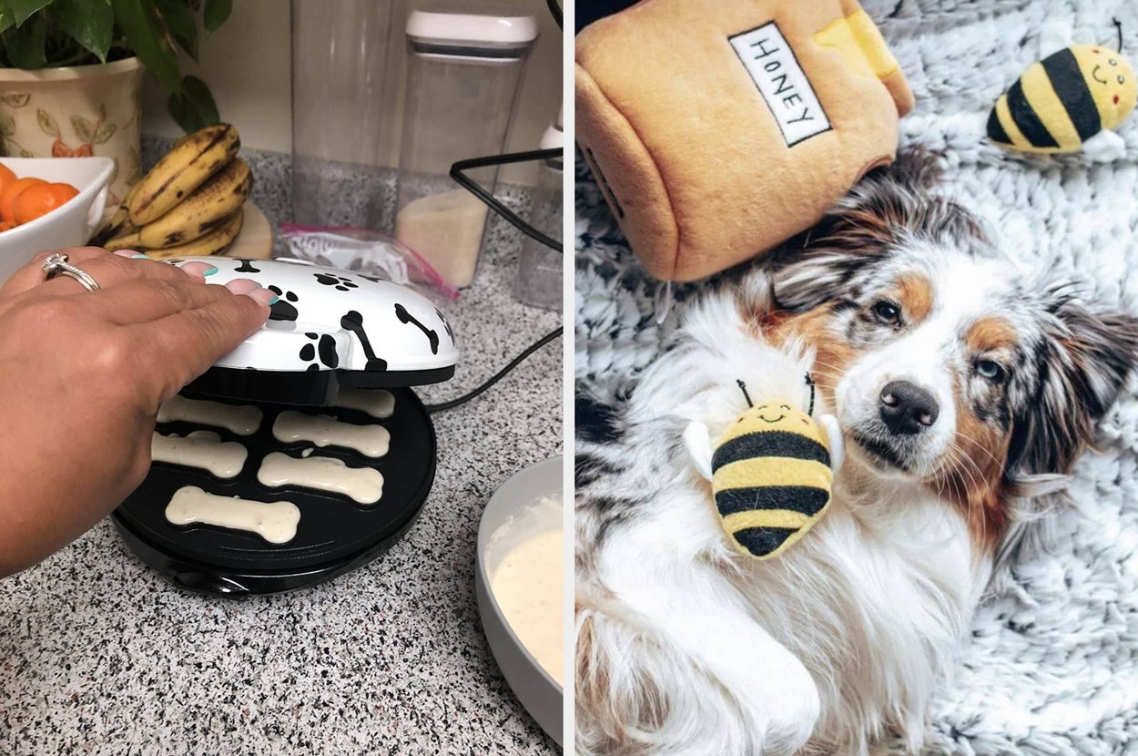 Left: Hand operating a dog treat maker with bone-shaped molds. Right: Fluffy dog lying on a blanket, cuddling a bee-shaped toy