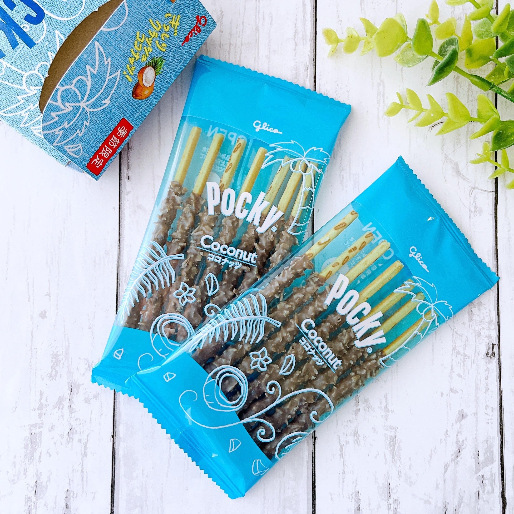 レトロ ロッテ ココナッツポップル 空き箱 レトロ ロッテ ココナッツポップル 空き箱 レトロ ロッテ ココナッツ