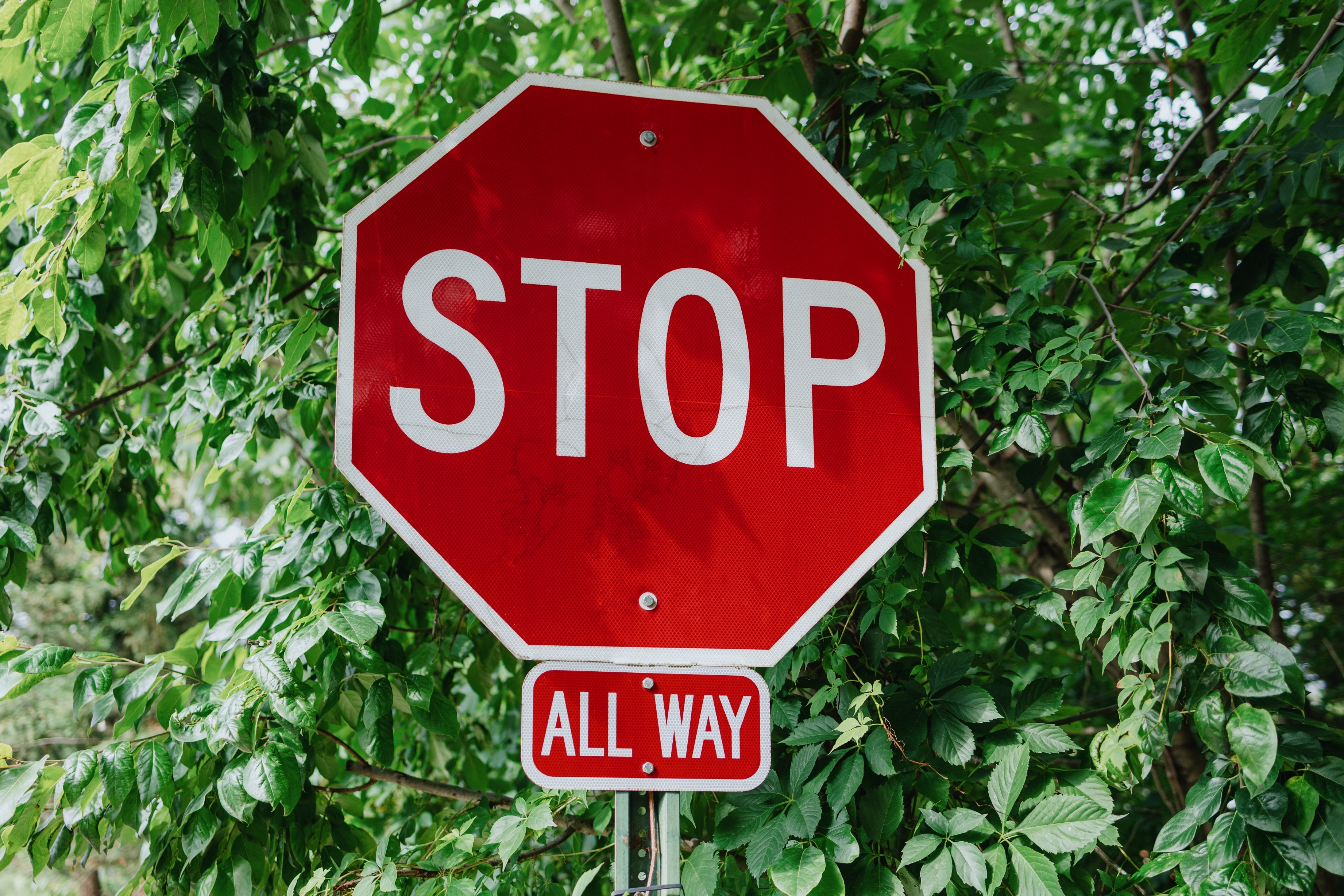 Stopp skiltet mot et bakteppe av bladgrønne trær