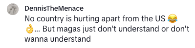 Comment questioning understanding of certain individuals regarding issues outside the US. Includes emoji: laughing, OK hand