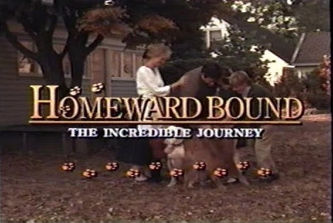  The Incredible Journey" movie poster with kids playing with a dog in front of a house