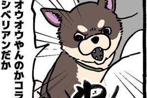 犬たちが会話する漫画のコマ。吠える犬と驚く犬が登場し、攻撃的な言葉が含まれています。