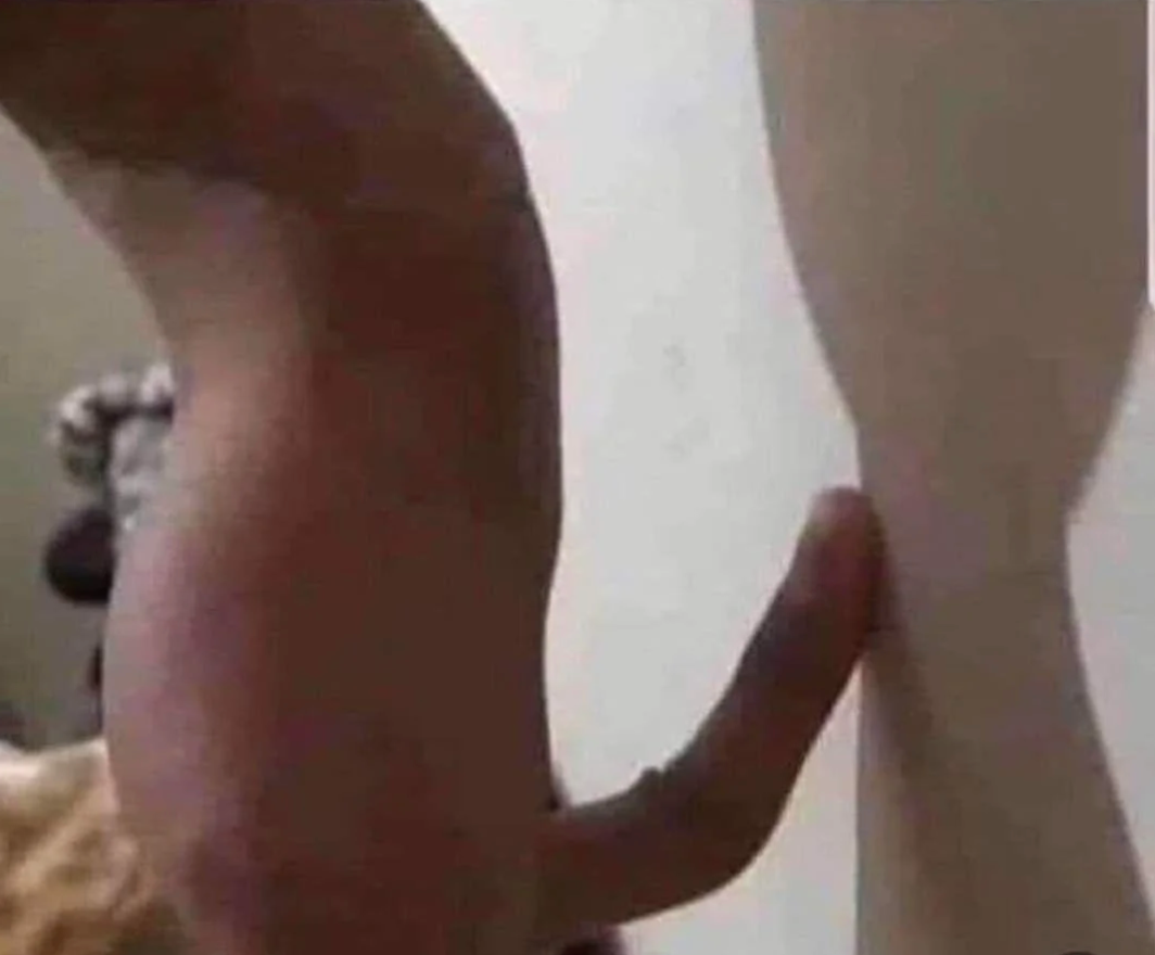 An optical illusion makes a cat&#x27;s paw appear like an arm flexing a bicep against a wall