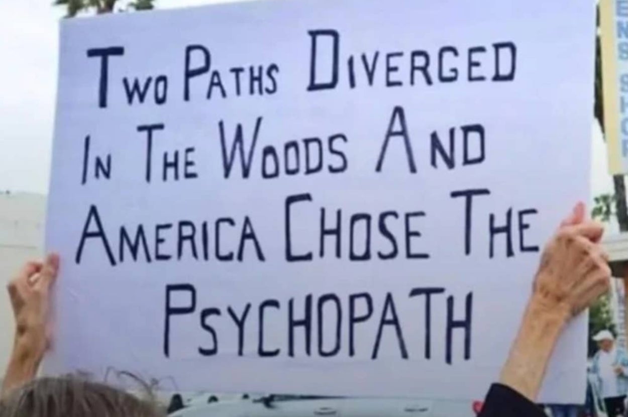 Sign held by a person reads, "Two paths diverged in the woods and America chose the psychopath."